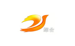 大冶综合频道