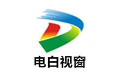 电白视窗