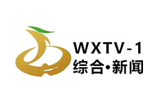 魏县综合新闻频