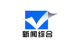 礼县新闻综合频道