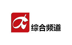 大安综合频道