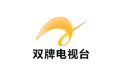 双牌县电视台