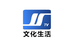 偃师文化生活频