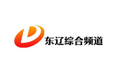 东辽综合频道