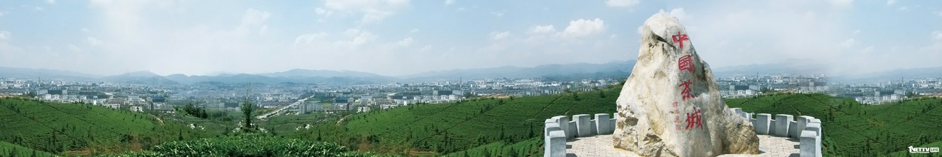 Puer