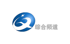 汉中综合频道