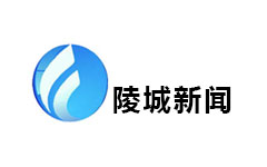 陵城综合频道