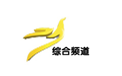 濉溪综合频道