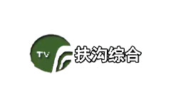 扶沟综合频道