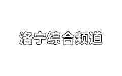 洛宁综合频道