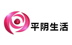 平阴乡村振兴频