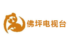 佛坪电视台