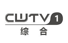成武综合频道