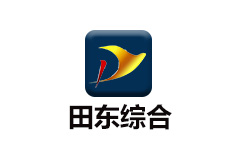 田东综合频道
