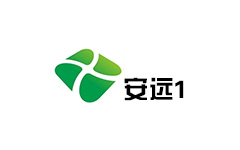 安远新闻频道