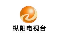 枞阳电视台