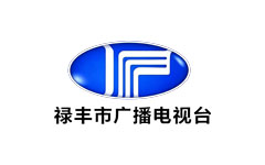禄丰市电视台