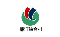 廉江电视台