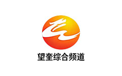 望奎综合频道