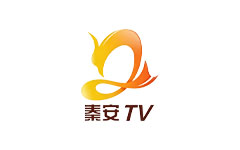 秦安县电视台
