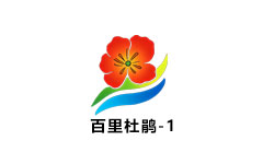 百里杜鹃电视台