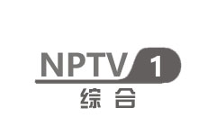 南皮综合频道