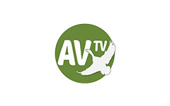 AV TV