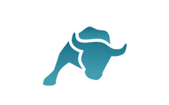 El Toro TV