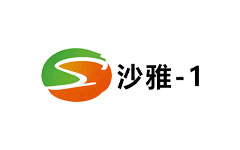沙雅一套