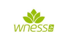 Wness TV