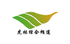 虎林综合频道