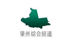 肇州综合频道
