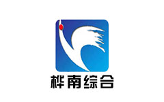 桦南综合频道