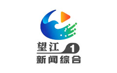 望江新闻综合频道