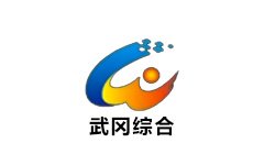 武冈综合频道